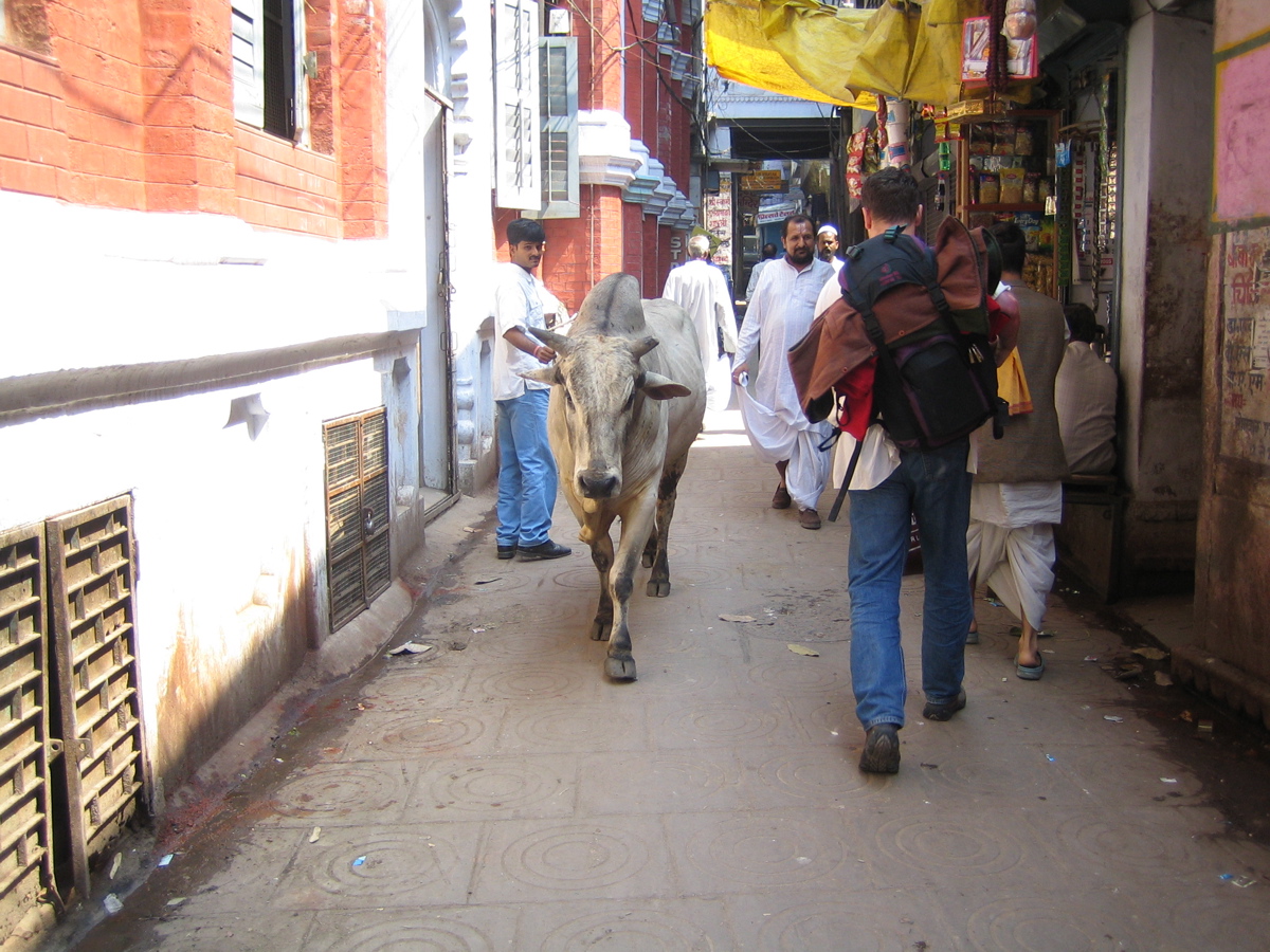 Scène de rue à Varanasi