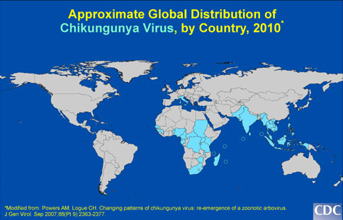 Carte du monde de la présence de Chikungunya