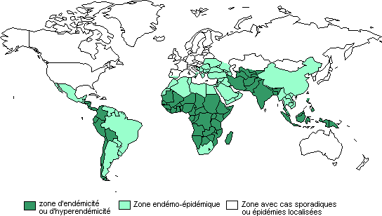 Carte de la présence de la fièvre typhoïde (cliquer pour agrandir)